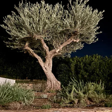Escapade Mediterraneenne, 3 Etoiles Entre Et Nature Cavalaire-sur-Mer